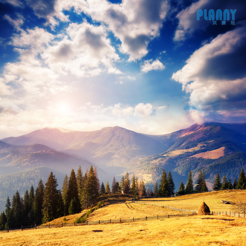 Natural Scenery mural
