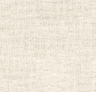 A1