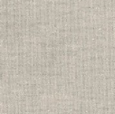A1