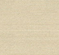A1