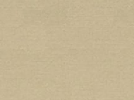 A1