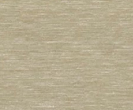 A1