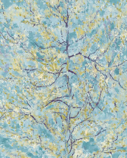 blossom（1）