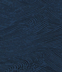 Hyatt