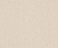 T137(8)
