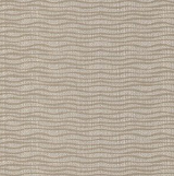 A designer（2） 1