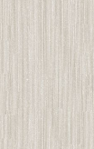 A designer（2） 4