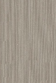 A designer（2） 4