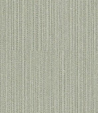 A designer（2）  8