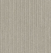 A designer（2）  8