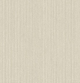 A designer（2）  8