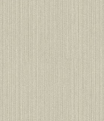 A designer（2）  8