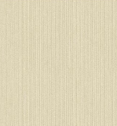 A designer（2）  8