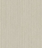 A designer（2）  8