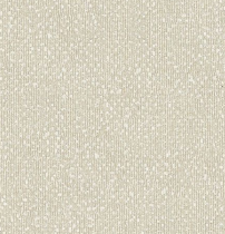 A designer（2）  14