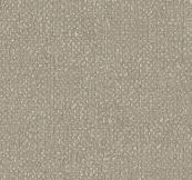 A designer（2）  14