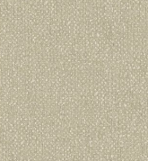 A designer（2）  14