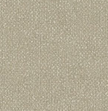 A designer（2）  14