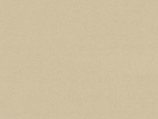 A designer（2）  16