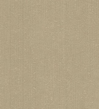 A designer（2）  17