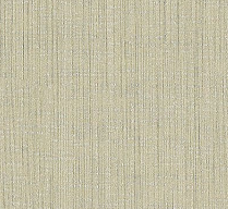 A designer（2） 21