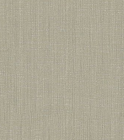 A designer（2） 21