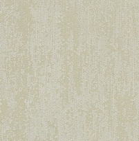 A designer（2）22