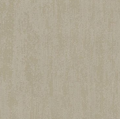 A designer（2）22