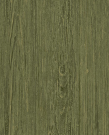 Plain2(2)