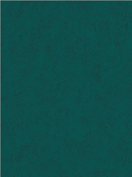 VOSSENFROTTIERV 17