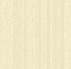 Plain2(4)