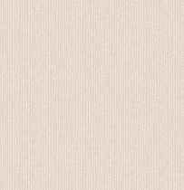 Plain2(4)