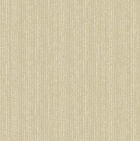 Plain2(4)