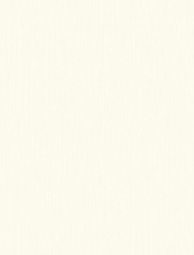 Plain2(11)