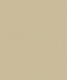 Plain2(11)