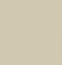 Plain2(11)