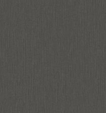 Plain2(11)