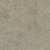 MUDDY COLOR 4