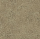 MUDDY COLOR 4