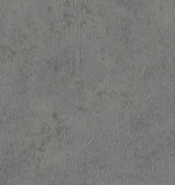 MUDDY COLOR 4