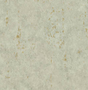MUDDY COLOR 4