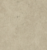 MUDDY COLOR 4