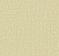 MUDDY COLOR 8