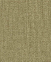 MUDDY COLOR 8