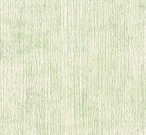 MUDDY COLOR 12