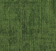 MUDDY COLOR 12