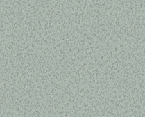 MUDDY COLOR 13
