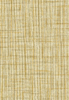 Aman Colors(7)
