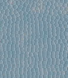 Aman Colors(13)