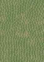 Aman Colors(13)